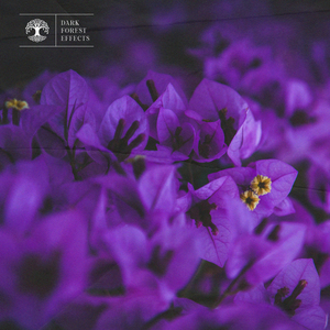 fuli.su黑料不打烊虾玩网
